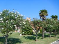 San_Lazaro_degli_Armeni (3) &ndash; &copy; Andreas Höhn (Eberhardt TRAVEL)