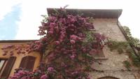 Sirmione &ndash; &copy; Petra Sauer (Eberhardt TRAVEL)