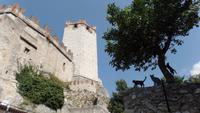 Malcesine &ndash; &copy; Petra Sauer (Eberhardt TRAVEL)