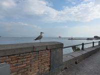 Italien, Vulkane, Neapel &ndash; &copy; Ria Heilmann (Eberhardt TRAVEL)