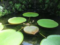 IMG_6380 &ndash; &copy; Kerstin Veit (Eberhardt TRAVEL)