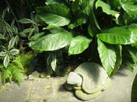 IMG_6381 &ndash; &copy; Kerstin Veit (Eberhardt TRAVEL)