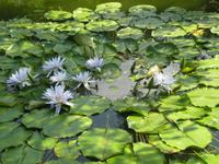 IMG_6393 &ndash; &copy; Kerstin Veit (Eberhardt TRAVEL)