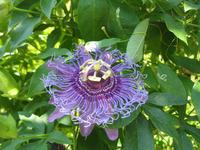 IMG_6396 &ndash; &copy; Kerstin Veit (Eberhardt TRAVEL)