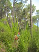 IMG_6412 &ndash; &copy; Kerstin Veit (Eberhardt TRAVEL)