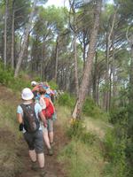 IMG_6413 Wanderung Maddalena Wald &ndash; &copy; Kerstin Veit (Eberhardt TRAVEL)