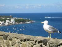 IMG_6515 &ndash; &copy; Kerstin Veit (Eberhardt TRAVEL)