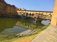 Ponte Vecchio &ndash; &copy; Gerd Pierschek (Eberhardt TRAVEL)