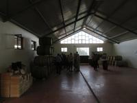 Weingut Tenuta Le Lune del Vesuvio &ndash; &copy; Martin Jentzsch (Eberhardt TRAVEL)