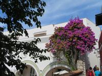 Ausflug nach Capri &ndash; &copy; Martin Jentzsch (Eberhardt TRAVEL)