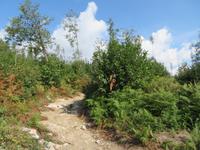 Wanderung von Agerola nach Amalfi &ndash; &copy; Martin Jentzsch (Eberhardt TRAVEL)