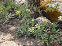 Italien, Sardinien, Strandwanderung Costa Smeralda &ndash; &copy; Ria Heilmann (Eberhardt TRAVEL)