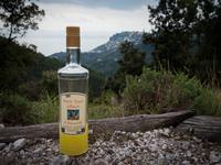 ...mit Limoncello &ndash; &copy; Anna Stiebing (Eberhardt TRAVEL)