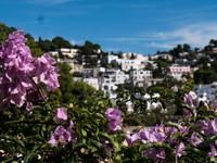 Capri &ndash; &copy; Anna Stiebing (Eberhardt TRAVEL)