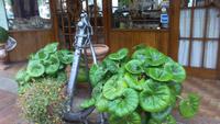 Elba, Ausflug mit Jo, Aufenthalt in Porto Azzuro &ndash; &copy; Gisela Gerlach (Eberhardt TRAVEL)