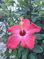 Foto 12.10.16, 17 33 45 &ndash; &copy; Kerstin Heintzel (Eberhardt TRAVEL)