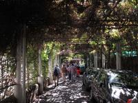Zum Essen in Pompeji &ndash; &copy; Peter Rudolph (Eberhardt TRAVEL)