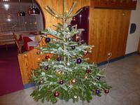 Weihnachtsbaum &ndash; &copy; Claudia Bernhardt (Eberhardt TRAVEL)