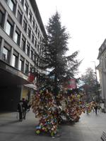 Meran - Wunschzettelbaum &ndash; &copy; Claudia Bernhardt (Eberhardt TRAVEL)