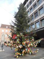 Meran - Wunschzettelbaum &ndash; &copy; Claudia Bernhardt (Eberhardt TRAVEL)