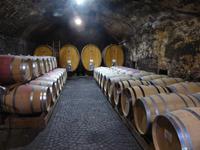 Weinkeller Kettmeir - Weinlager &ndash; &copy; Claudia Bernhardt (Eberhardt TRAVEL)