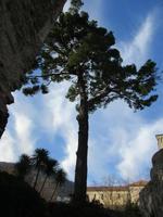 203 Ravello &ndash; &copy; Karolin Kühn (Eberhardt TRAVEL)