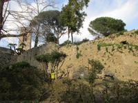 206 Ravello &ndash; &copy; Karolin Kühn (Eberhardt TRAVEL)