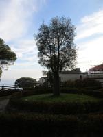 217 Ravello &ndash; &copy; Karolin Kühn (Eberhardt TRAVEL)
