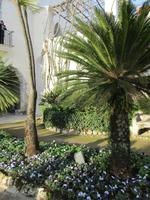 221 Ravello &ndash; &copy; Karolin Kühn (Eberhardt TRAVEL)