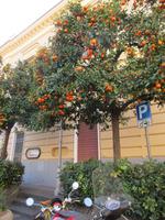 274 Sorrento &ndash; &copy; Karolin Kühn (Eberhardt TRAVEL)