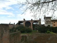 Forum Romanum Rom &ndash; &copy; Ingrid Langer (Eberhardt TRAVEL)