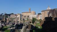 Rom - Forum Romanum &ndash; &copy; Martin Büchner (Eberhardt TRAVEL)
