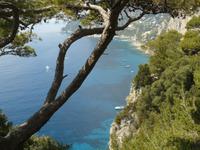 Capri 6