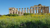 Selinunte-archäologischer Park &ndash; &copy; Marlies Thrum (Eberhardt TRAVEL)