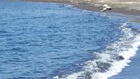 am schwarzen Strand von Vulcano &ndash; &copy; Marlies Thrum (Eberhardt TRAVEL)