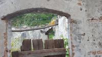 Savoca &ndash; &copy; Marlies Thrum (Eberhardt TRAVEL)