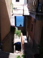 Scilla &ndash; &copy; Anne-Katrin Müller (Eberhardt TRAVEL)