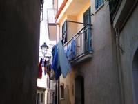 Scilla &ndash; &copy; Anne-Katrin Müller (Eberhardt TRAVEL)