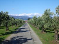 Weingut Statti &ndash; &copy; Anne-Katrin Müller (Eberhardt TRAVEL)
