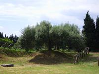 Locri &ndash; &copy; Anne-Katrin Müller (Eberhardt TRAVEL)