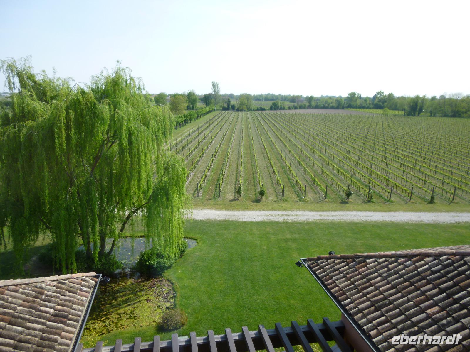 Weingut Pitars &ndash; &copy; Grit Wendelberger (Eberhardt TRAVEL)