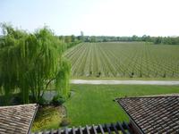 Weingut Pitars