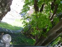 Triest &ndash; &copy; Grit Wendelberger (Eberhardt TRAVEL)