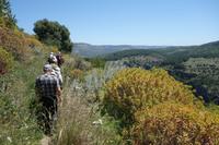 Pantalica &ndash; &copy; Melanie Kost (Eberhardt TRAVEL)