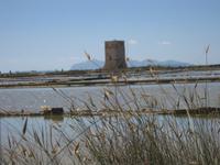 Salinen bei Trapani &ndash; &copy; Annette Zocher (Eberhardt TRAVEL)