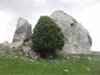 Auf der Hochebene von Agrimusco - Megalite &ndash; &copy; Annette Zocher (Eberhardt TRAVEL)