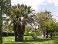 Der Garten im Hotel 
