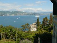 Portofino 4 &ndash; &copy; Margret van Blokland (Eberhardt TRAVEL)