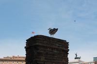 auf dem Weg zum Forum Romanum &ndash; &copy; Kathrin Kubik (Eberhardt TRAVEL)