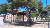 08.05.17 La Maddalena 4 &ndash; &copy; Anna Jeske (Eberhardt TRAVEL)